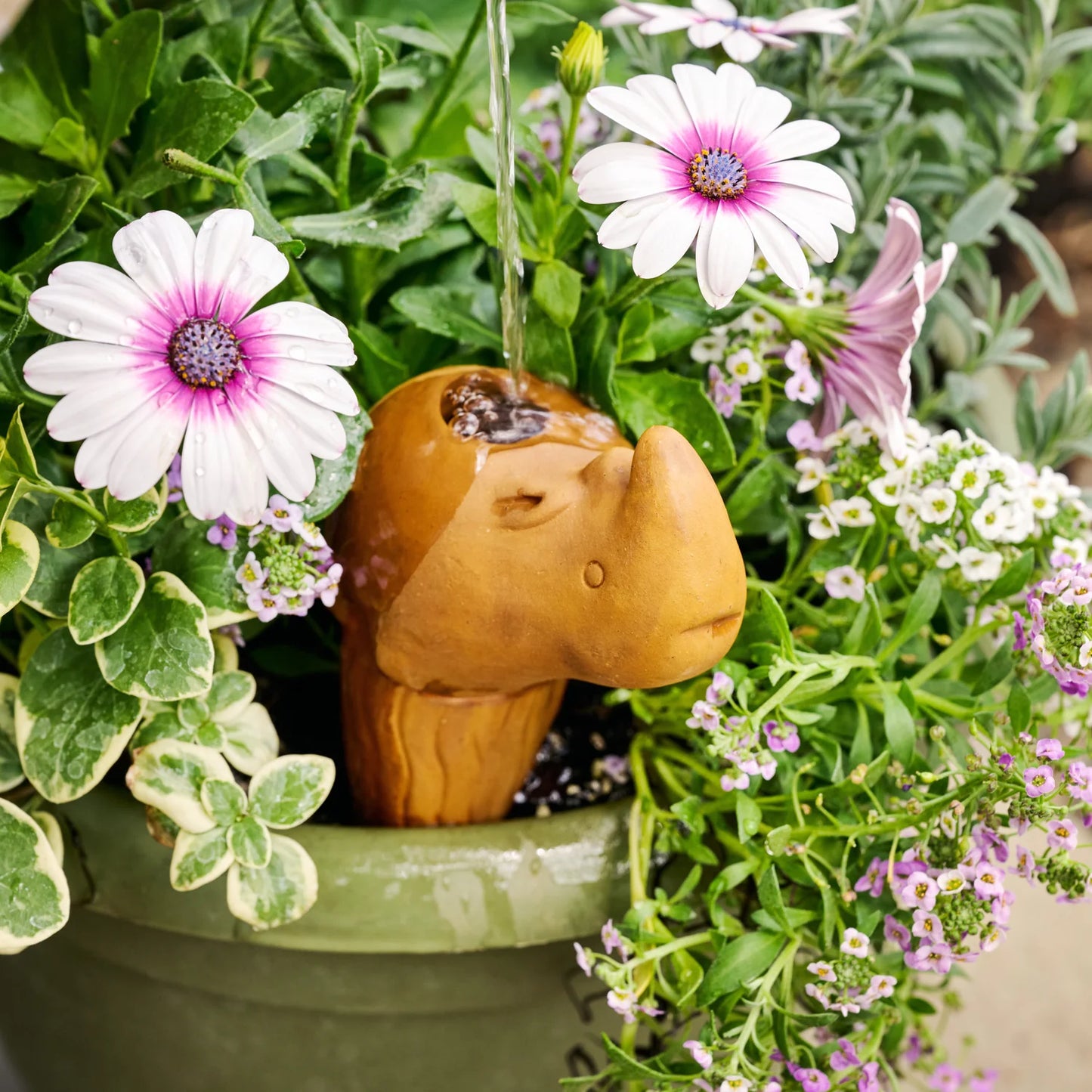Self Watering Plant Pet - Rhino